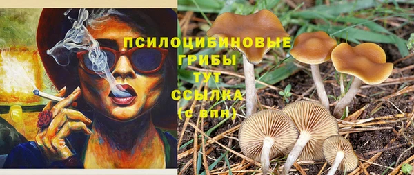 Альфа ПВП Абдулино