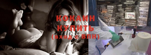 винт Абаза
