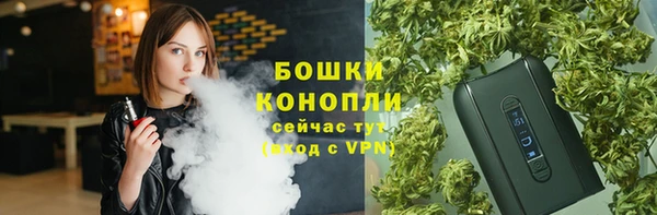 винт Абаза